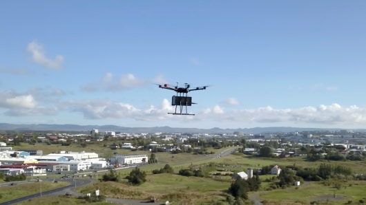 Drones in the Restaurant Business