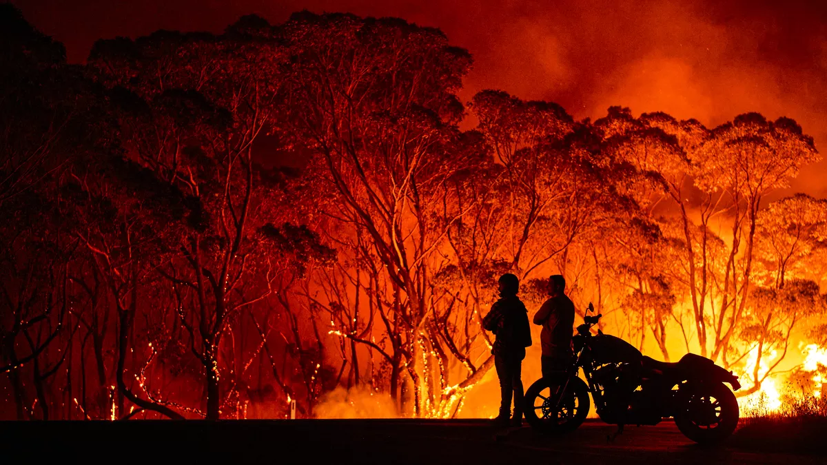 The Great Australian Bushfires