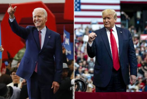 Political polls point to a Biden win; but how accurate are they?
